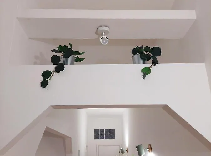 Conte Rosso Appartement