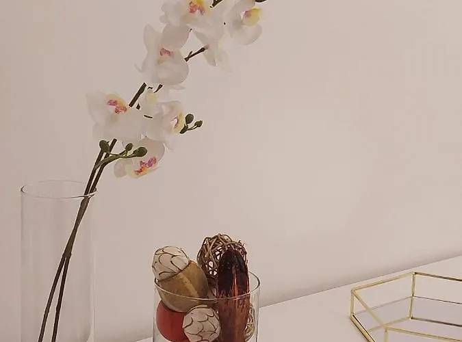 Appartement Conte Rosso